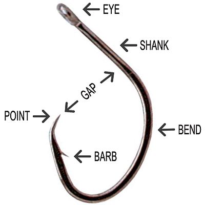 Anatomy of fishing hook