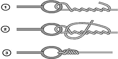 Clinch or bloodknot Knot