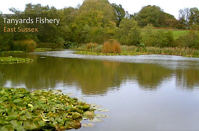 Tanyards fishery